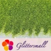 IMG_20210322_154444.webp 0.3mm Leaf Green Fine Glitter Pure Color B0617