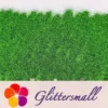 0.3mm Crystal Green Fine Glitter Pure Color B0609A