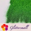 0.3mm Crystal Green Fine Glitter Pure Color B0609A