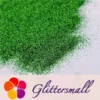 0.3mm Crystal Green Fine Glitter Pure Color B0609A