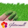 0.3mm Crystal Green Fine Glitter Pure Color B0609A