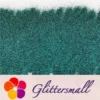 IMG_20210322_160627.webp 0.3mm Deep Green Fine Glitter Pure Color B0622