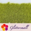 IMG_20210322_161148.webp 0.3mm Yellow Green Fine Glitter Pure Color B0611