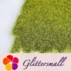 IMG_20210322_161201.webp 0.3mm Yellow Green Fine Glitter Pure Color B0611