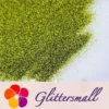 IMG_20210322_161229.webp 0.3mm Yellow Green Fine Glitter Pure Color B0611
