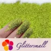 IMG_20210322_161516.webp 0.3mm Yellow Green Fine Glitter Pure Color B0611