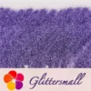 IMG_20210327_150807.webp 0.2mm Professional Cosmetic Glitter For Lip Gloss, Lipstick Pastel Violet FCH802