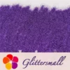 0.2mm Professional Cosmetic Glitter For Lip Gloss, Lipstick Purple FCH801