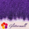 0.2mm Professional Cosmetic Glitter For Lip Gloss, Lipstick Purple FCH801