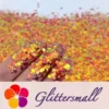General Mixed High Brightness Iridescent Orange Red Glitter FC338