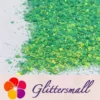 IMG_20210408_162727.webp General Mixed High Brightness Iridescent Green Glitter FC333