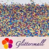 IMG_20210413_161203.webp 1/2/3MM Round Shaped Custom Mixed Glitter MIXR-11