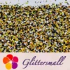 1/2/3MM Round Shaped Custom Mixed Glitter MIXR-07
