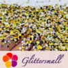 1/2/3MM Round Shaped Custom Mixed Glitter MIXR-07