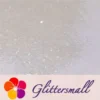 1mm Rainbow Translucent Holographic Glitter LB01100