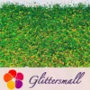 IMG_20210507_142131.webp Iridescent Phantom Golden Green Color Shift Glitter Flakes C-BSL7111 2X2