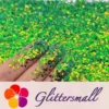 IMG_20210507_142154.webp Iridescent Phantom Golden Green Color Shift Glitter Flakes C-BSL7111 2X2