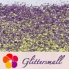 Iridescent Phantom Purple Color Shift Glitter Flakes C-BSL7822 2X2