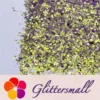 Iridescent Phantom Purple Color Shift Glitter Flakes C-BSL7822 2X2