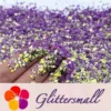 Iridescent Phantom Purple Color Shift Glitter Flakes C-BSL7822 2X2