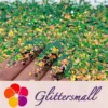 IMG_20210507_144758.webp Iridescent Phantom Green Color Shift Glitter Flakes C-BSL7150 2X2