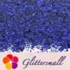 IMG_20210507_145541.webp Iridescent Phantom Color Shift Blue Glitter Flakes C-BSL7777 2X2