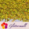 IMG_20210508_145514.webp 6mm Candy Sweet Shaped Holographic Gold Glitter LB0210