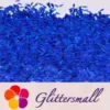 IMG_20210508_150251.webp 6mm Candy Sweet Shaped Holographic Blue Glitter LB0705