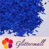 IMG_20210508_150321.webp 6mm Candy Sweet Shaped Holographic Blue Glitter LB0705