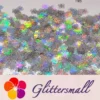 IMG_20210709_151346.webp 10mm Halloween Spider Holographic Silver Shaped Glitter LB0100