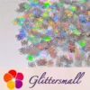 IMG_20210709_151441.webp 10mm Halloween Spider Holographic Silver Shaped Glitter LB0100