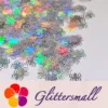 IMG_20210709_151458.webp 10mm Halloween Spider Holographic Silver Shaped Glitter LB0100