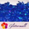 IMG_20210709_151951.webp 10mm Halloween Spider Holographic Blue Shaped Glitter LB0705
