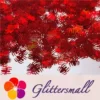 IMG_20210709_152902.webp 10mm Halloween Spider Holographic Red Shaped Glitter LB0300
