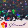 IMG_20210709_153238.webp 10mm Halloween Spider Holographic Black Shaped Glitter LB01000