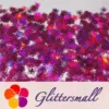 IMG_20210709_153821.webp 10mm Halloween Spider Holographic Rose Red Shaped Glitter LB0912