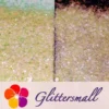 IMG_20210716_161705.webp Iridescent Sun Light General Mixed High Brightness Glitter FC009