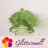 IMG_20210904_143438.webp Iridescent Mica Powder Green Pigment Glitter STC8151