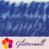 IMG_20211013_152427.webp 0.3mm Crystal Blue Glitter Pure Color B0704