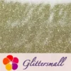 IMG_20211013_152929.webp 0.3mm Light Champagne Gold Glitter Pure Color B0200