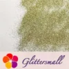 IMG_20211013_152941.webp 0.3mm Light Champagne Gold Glitter Pure Color B0200