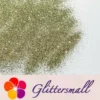 IMG_20211013_152959.webp 0.3mm Light Champagne Gold Glitter Pure Color B0200
