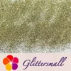 IMG_20211013_153013.webp 0.3mm Light Champagne Gold Glitter Pure Color B0200