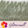 0.3mm Champagne Silver Glitter Pure Color B0102