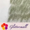 0.3mm Champagne Silver Glitter Pure Color B0102