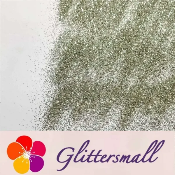 0.3mm Champagne Silver Glitter Pure Color B0102