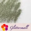 0.3mm Champagne Silver Glitter Pure Color B0102