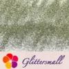 0.3mm Champagne Silver Glitter Pure Color B0102