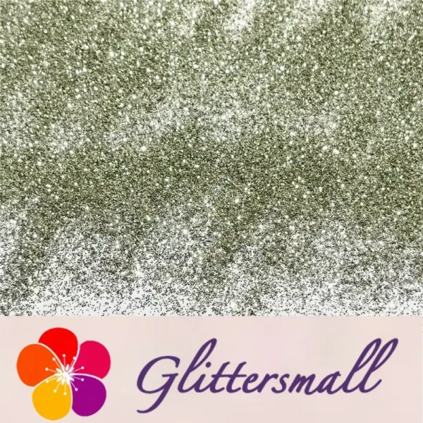 0.3mm Champagne Silver Glitter Pure Color B0102