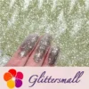 0.3mm Champagne Silver Glitter Pure Color B0102